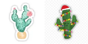 Cactus Vinyl